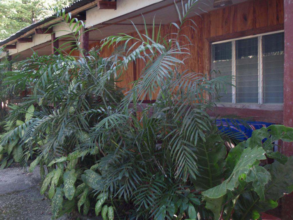 Guest House Posada Ixchel El Remate Habitación foto