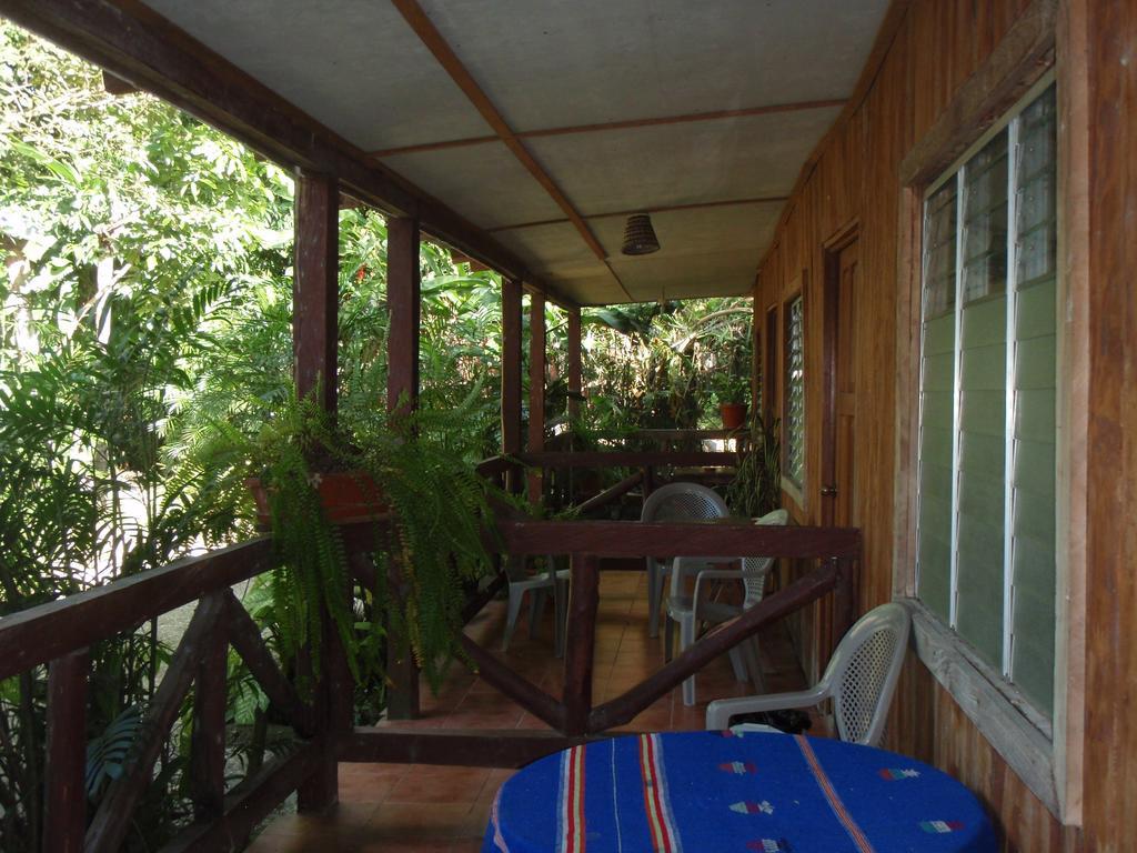 Guest House Posada Ixchel El Remate Habitación foto