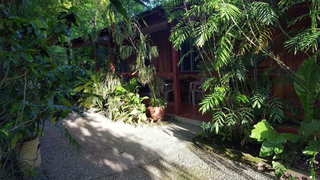 Guest House Posada Ixchel El Remate Exterior foto
